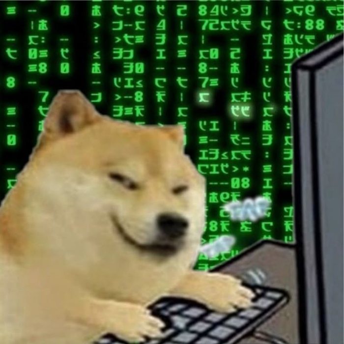 A dog at a keyboard in front of a green falling code screen