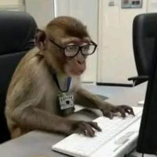 A monkey in glasses with an ID badge, typing at a keyboard